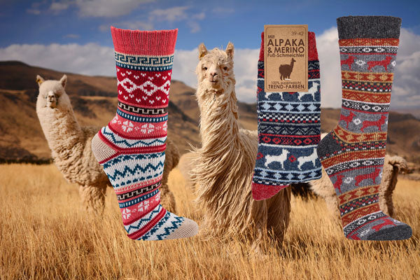 Chaussettes hygge "Pérou" avec mérinos et alpaga | 2 paires | 2287.