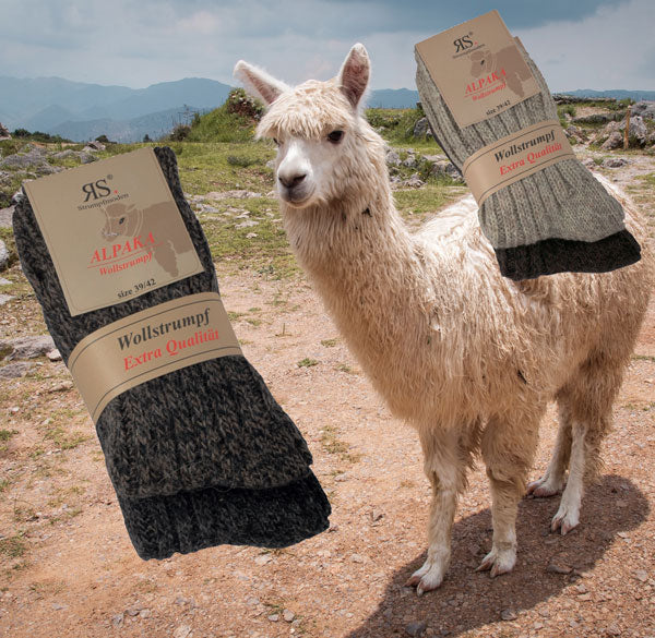 Alpaca wool socks | 2 pairs | Art. 43350