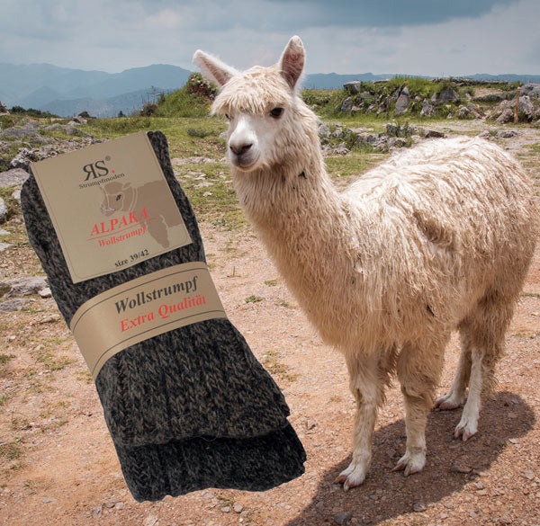 Alpaca wool socks | 2 pairs | Art. 43350