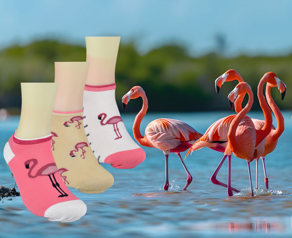 Lady Harmony Sneakers | flamingo | 3 pairs | Art. 15385